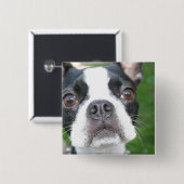 Boston Terrier Pup Square Button (Voorkant /achterkant)