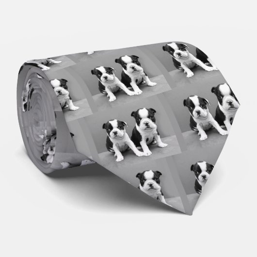 Boston Terrier Puppies stropdas (Opgerold)