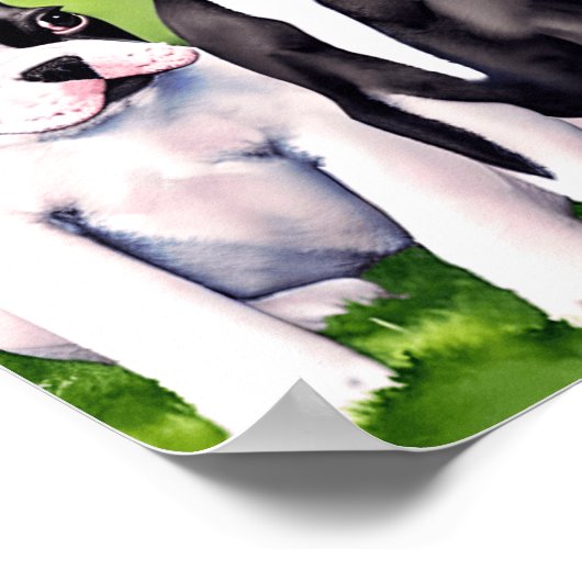 Boston Terrier Puppies Waterverf Art Print (Hoek)
