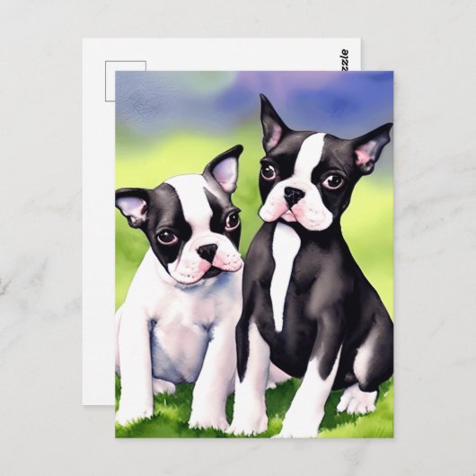 Boston Terrier Puppies Waterverf Briefkaart (Voorkant / Achterkant)