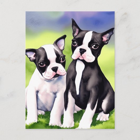 Boston Terrier Puppies Waterverf Briefkaart (Voorkant)