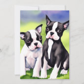 Boston Terrier Puppies Waterverf Greeting Kaart (Voorkant)