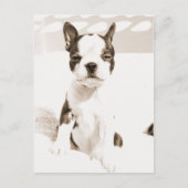 Boston Terrier Puppy 2 Briefkaart (Voorkant)