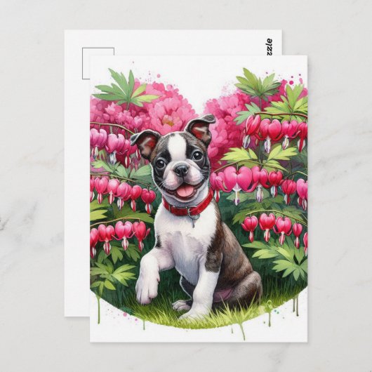 Boston Terrier Puppy Bloedend Hart Bloemen Briefkaart (Voorkant / Achterkant)