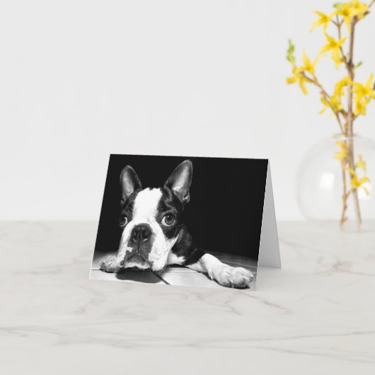 Boston Terrier Puppy Dog Blank Notecard Kaart (Gele Bloem)