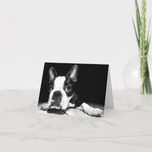 Boston Terrier Puppy Dog Blank Notecard Kaart
