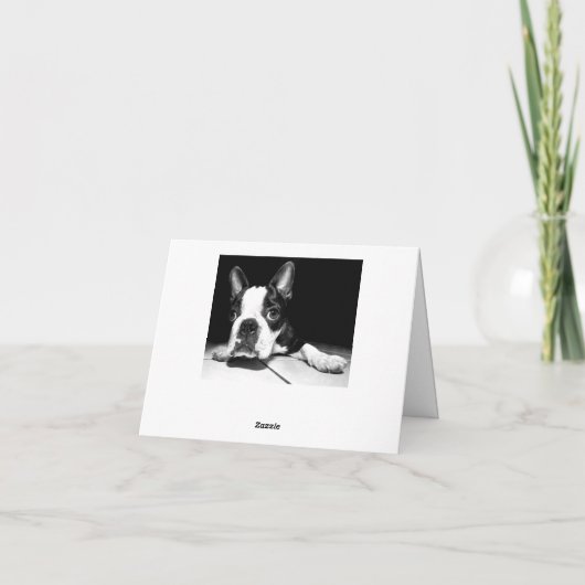 Boston Terrier Puppy Dog Blank Notecard Kaart (Achterkant)