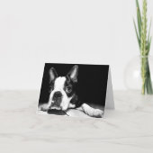 Boston Terrier Puppy Dog Blank Notecard Kaart (Voorkant)