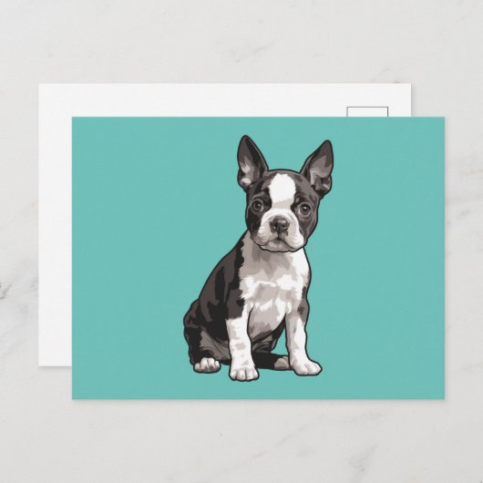 Boston Terrier Puppy Dog Briefkaart (Voorkant / Achterkant)
