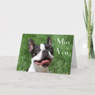 Boston Terrier Puppy Dog Miss You Wenskaart Kaart