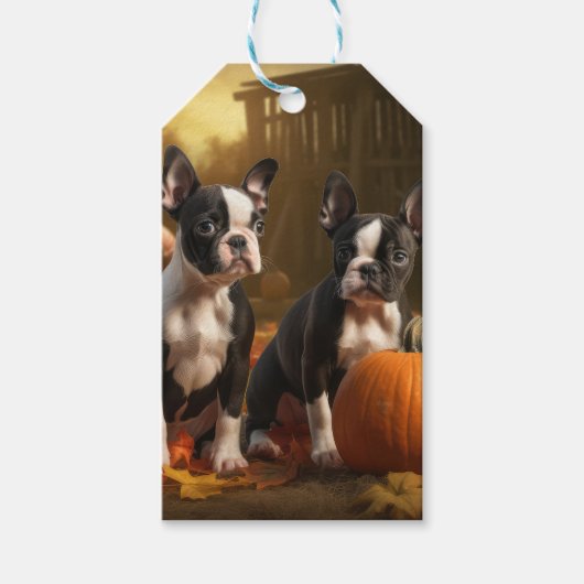 Boston Terrier Puppy Herfst Delight Pompoen Cadeaulabel (Voorkant)