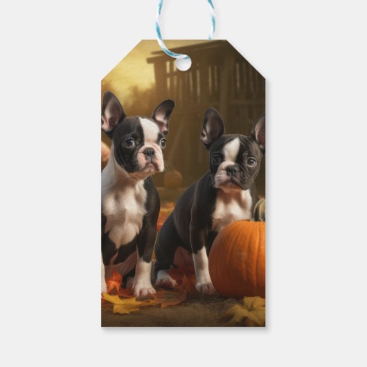Boston Terrier Puppy Herfst Delight Pompoen Cadeaulabel (Achterkant)