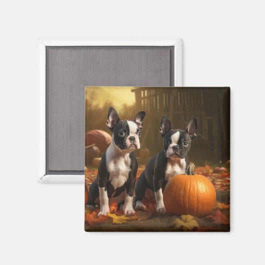 Boston Terrier Puppy Herfst Delight Pompoen Magneet (Voorkant / Achterkant)