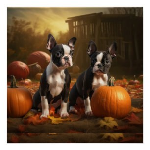 Boston Terrier Puppy Herfst Delight Pompoen Perfect Poster