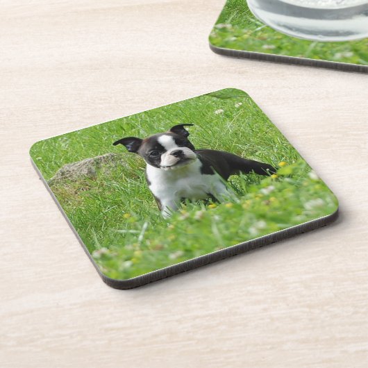Boston Terrier Puppy in Meadow Onderzetter Set (Linkerzijde)