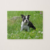 Boston Terrier Puppy in Meadow Puzzle Legpuzzel (Horizontaal)