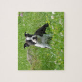 Boston Terrier Puppy in Meadow Puzzle Legpuzzel (Verticaal)