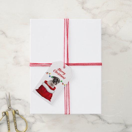 Boston Terrier Puppy in Santa Bag Cadeaulabel (Met Touw)