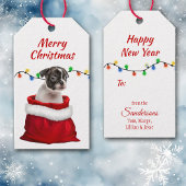 Boston Terrier Puppy in Santa Bag Cadeaulabel