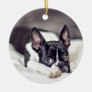 Boston Terrier Puppy Keramisch Ornament