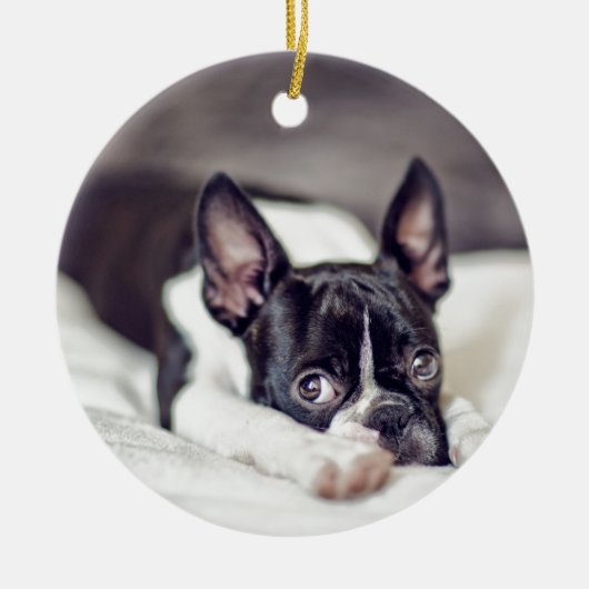 Boston Terrier Puppy Keramisch Ornament (Voorkant)