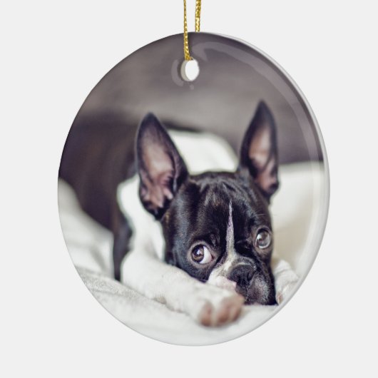 Boston Terrier Puppy Keramisch Ornament (Links)