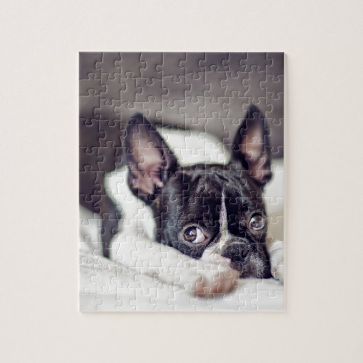Boston Terrier Puppy Legpuzzel (Verticaal)