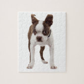 Boston Terrier Puppy Legpuzzel (Verticaal)
