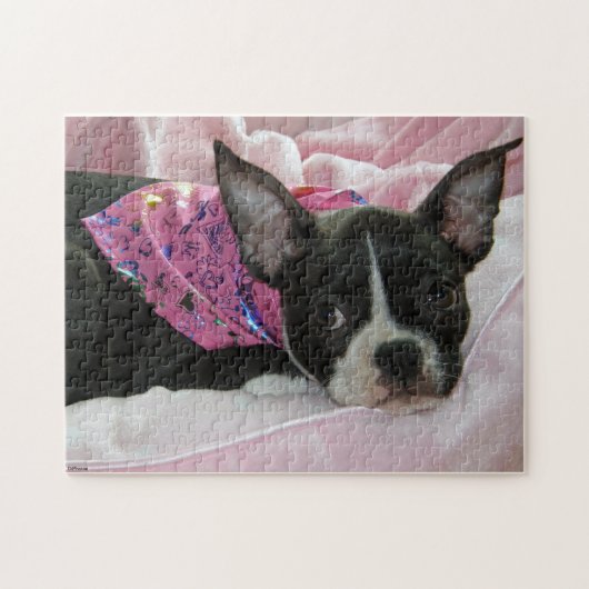 Boston Terrier Puppy Legpuzzel (Horizontaal)