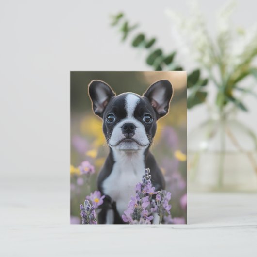 Boston Terrier Puppy Lupine Bloemen Briefkaart (Staand voorkant)