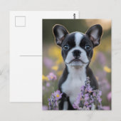 Boston Terrier Puppy Lupine Bloemen Briefkaart (Voorkant / Achterkant)
