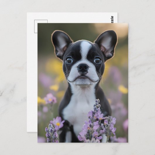 Boston Terrier Puppy Lupine Bloemen Briefkaart (Voorkant / Achterkant)