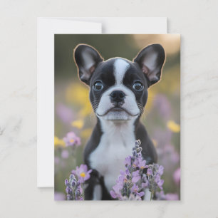 Boston Terrier Puppy Lupine Bloemen Briefkaart