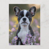 Boston Terrier Puppy Lupine Bloemen Briefkaart (Voorkant)