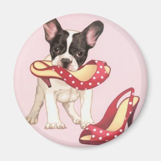 Boston Terrier Puppy met schoenen Magneet (Voorkant)