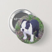 Boston Terrier Puppy Ronde Button 5,7 Cm (Voorkant /achterkant)