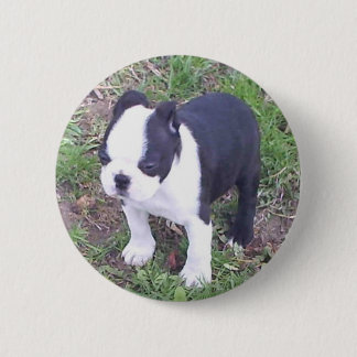 Boston Terrier Puppy Ronde Button 5,7 Cm
