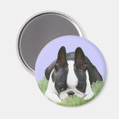 Boston terrier puppy rust magneet (Voorkant / Achterkant)