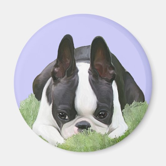 Boston terrier puppy rust magneet (Voorkant)