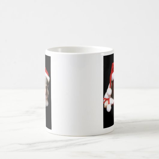 Boston Terrier Puppy Santa Paws Mok (Center)