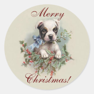 Boston Terrier Puppy - Schattigee hondenkerstvakan Ronde Sticker