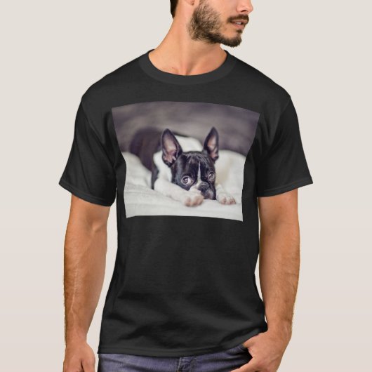 Boston Terrier Puppy T-shirt (Voorkant)