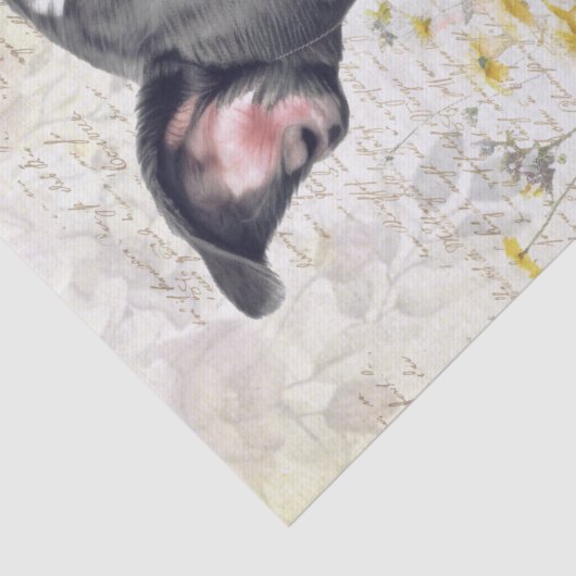 Boston Terrier Puppy Waterverf Tissuepapier (Detail)