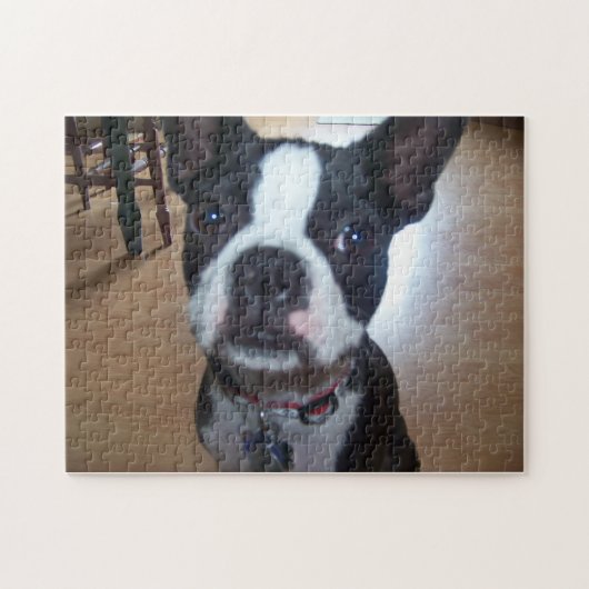 BOSTON TERRIER PUZZLE LEGPUZZEL (Horizontaal)