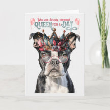 Boston Terrier Queen voor een dag grappige verjaar