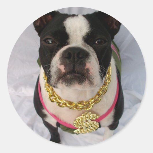 Boston Terrier Rapper Ronde Sticker (Voorkant)