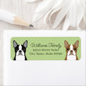 Boston Terrier Return-adreslabels Etiket (Insitu)