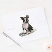 BOSTON TERRIER RONDE STICKER (Envelop)