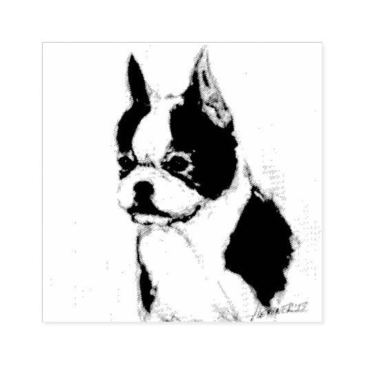 Boston Terrier Rubberstempel (Afrduk)