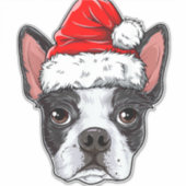 Boston Terrier Santa Dog Santa Hat Xmas Boys K Sticker (Voorkant)